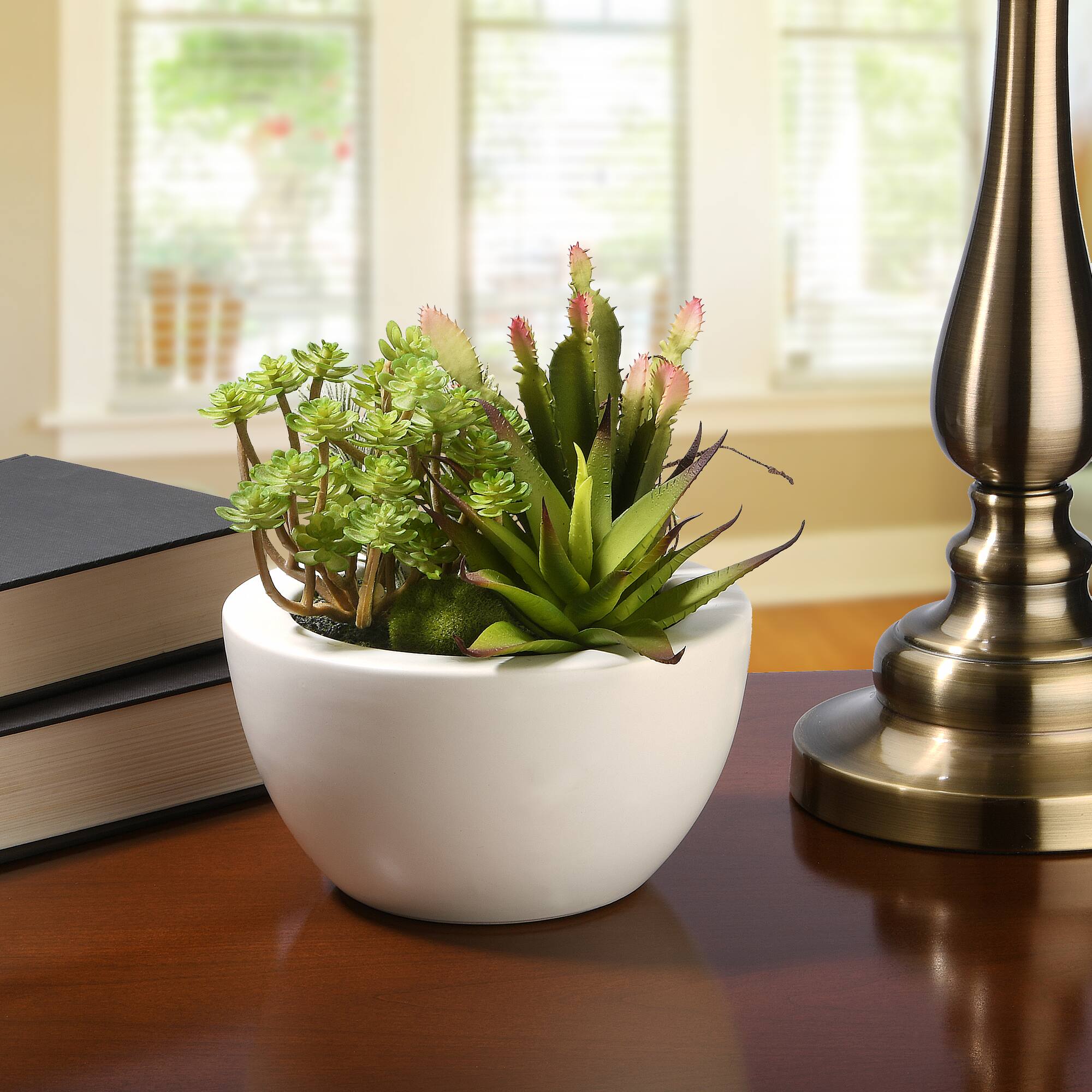 7.5" Succulent Plants in White Planter